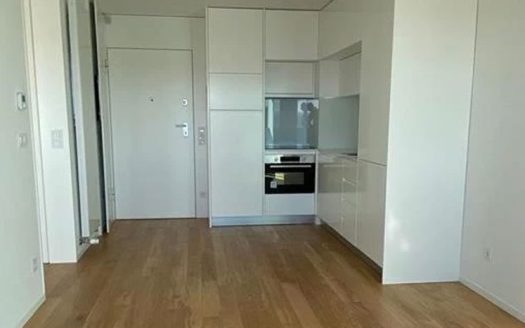 2 Bedroom Apartment Alameda das Antas in Porto